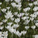 02.jpg - 2018:04:08 14:29:22