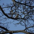 03.jpg - 2018:04:08 14:30:58