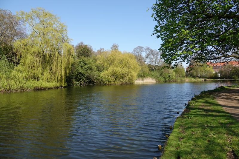 Viewing photos→2018→2018-04-08→51