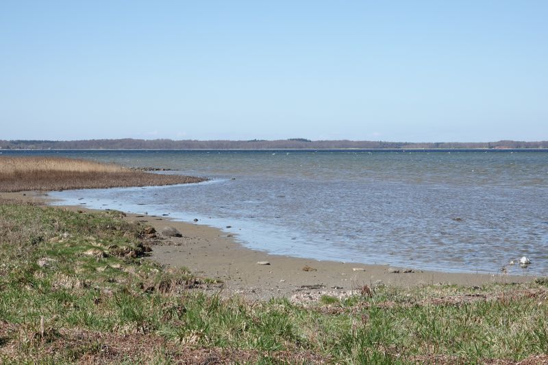 Viewing photos→2018→2018-04-21→03