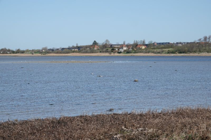 Viewing photos→2018→2018-04-21→04