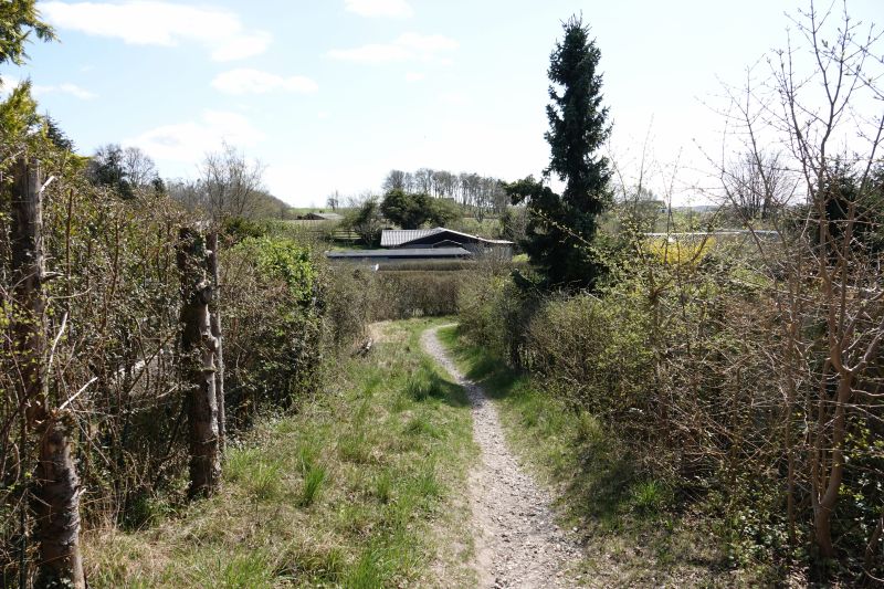 Viewing photos→2018→2018-04-21→09