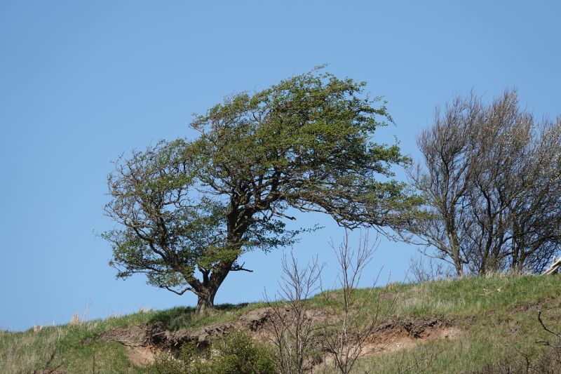 Viewing photos→2018→2018-04-21→11