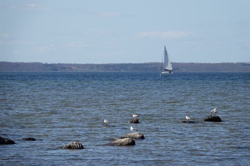 Viewing photos→2018→2018-04-21→13