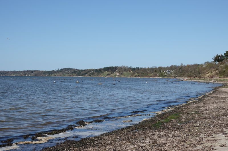 Viewing photos→2018→2018-04-21→15