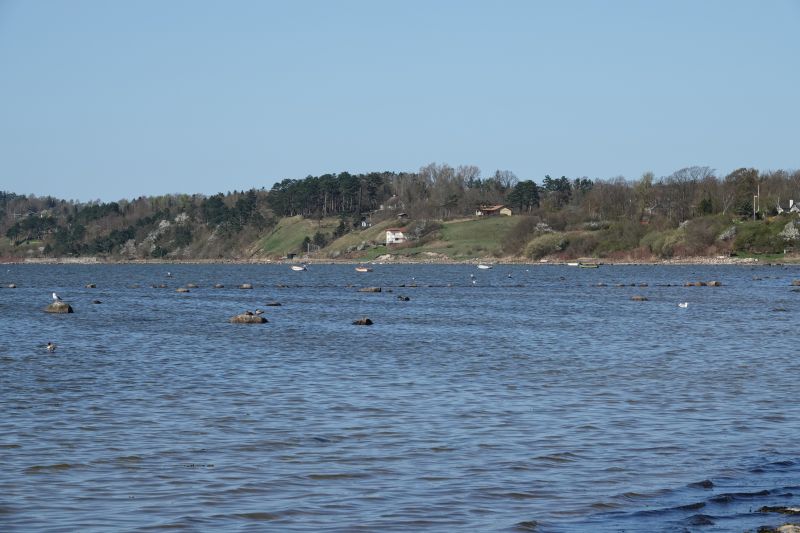 Viewing photos→2018→2018-04-21→16