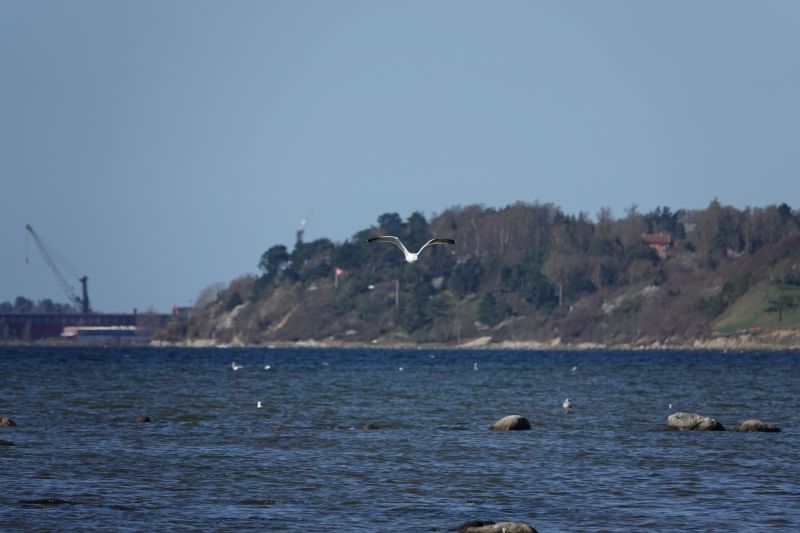 Viewing photos→2018→2018-04-21→18