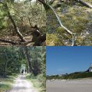 2018-05-10<br/>
<b>Tisvildeleje til Hundested</b>
