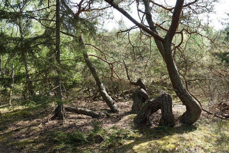 Viewing photos→2018→2018-05-10→01