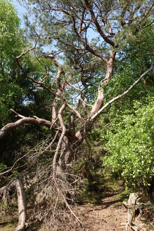 Viewing photos→2018→2018-05-10→02