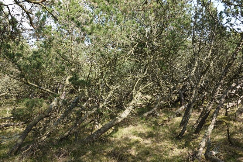 Viewing photos→2018→2018-05-10→03