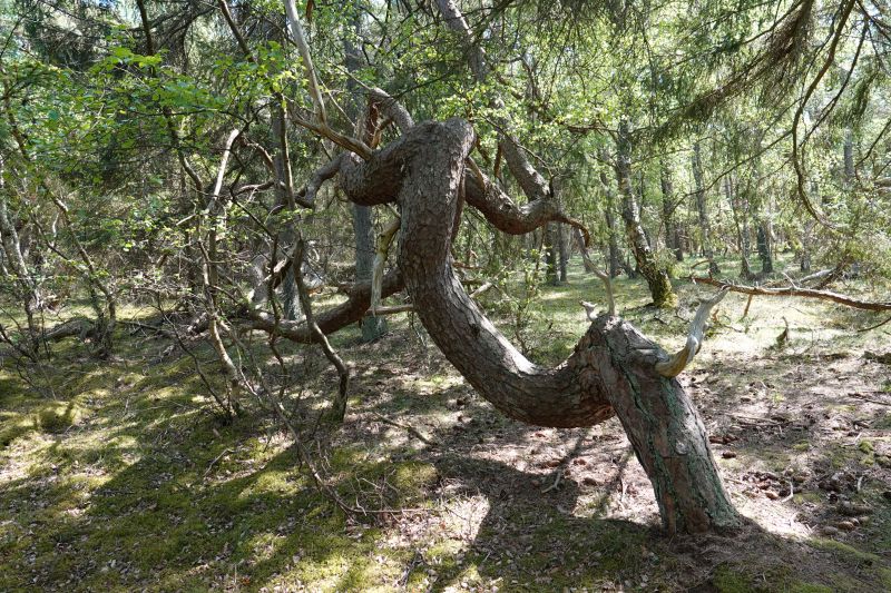 Viewing photos→2018→2018-05-10→10