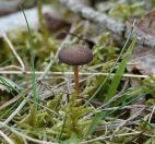 13.jpeg - 2018:05:10 12:32:28