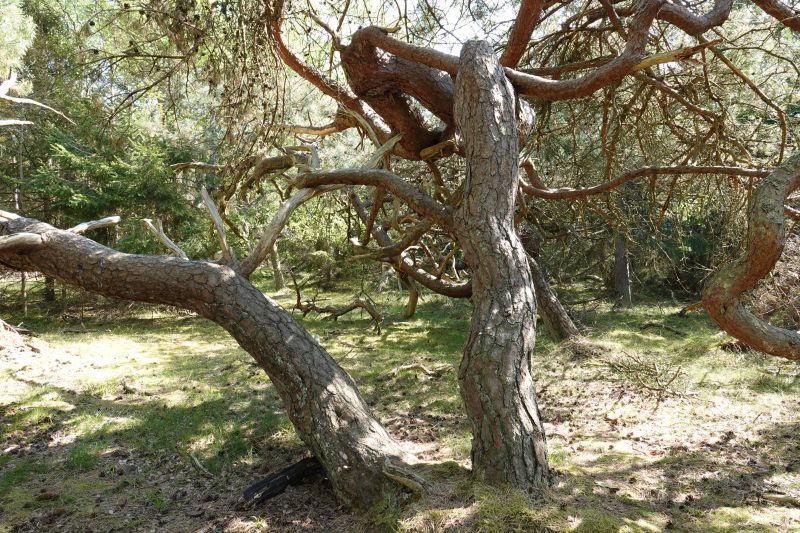 Viewing photos→2018→2018-05-10→19