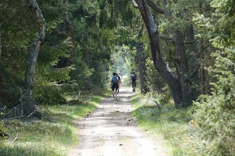 Viewing photos→2018→2018-05-10→33