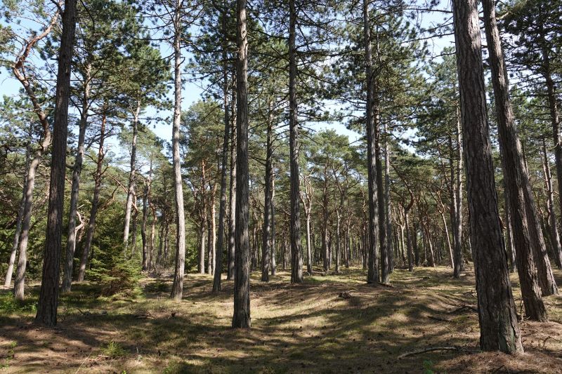 Viewing photos→2018→2018-05-10→36