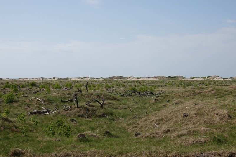 Viewing photos→2018→2018-05-10→37