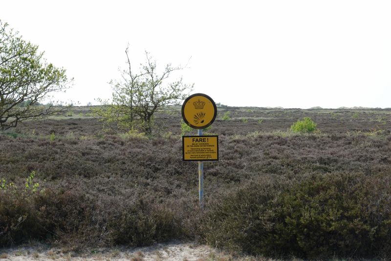 Viewing photos→2018→2018-05-10→38