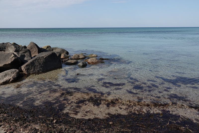 Viewing photos→2018→2018-05-10→45