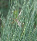 56.jpeg - 2018:05:10 16:37:36