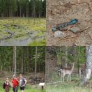2018-05-26<br/>
<b>Gribskov, Esrum Sø</b>
