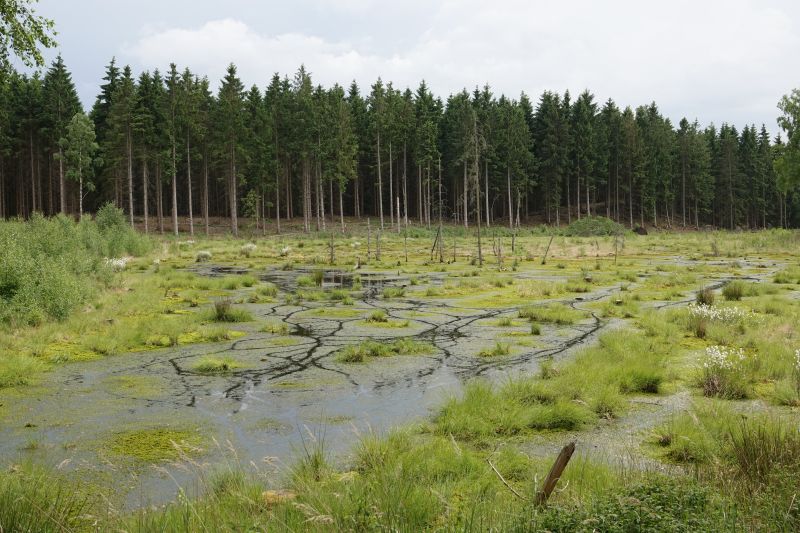 Viewing photos→2018→2018-05-26→01