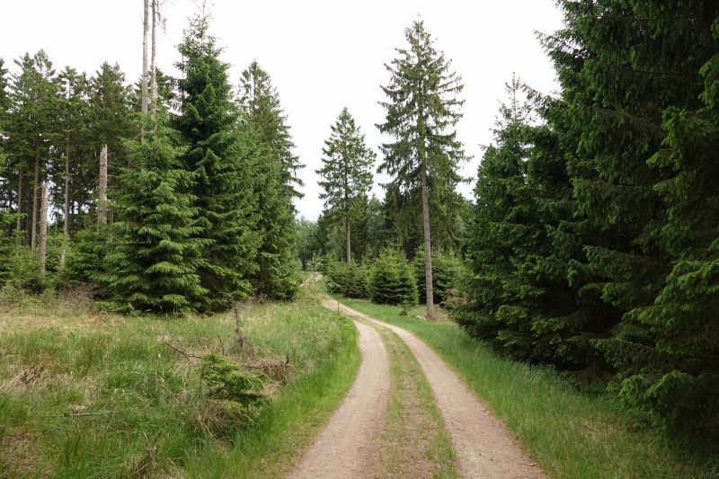 Viewing photos→2018→2018-05-26→08