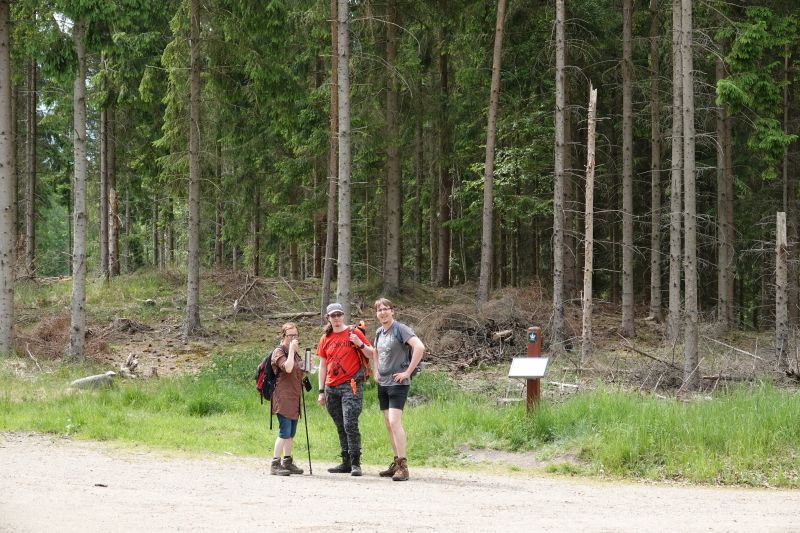 Viewing photos→2018→2018-05-26→09