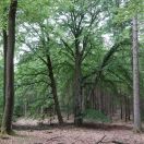 14.jpg - 2018:05:26 13:30:29