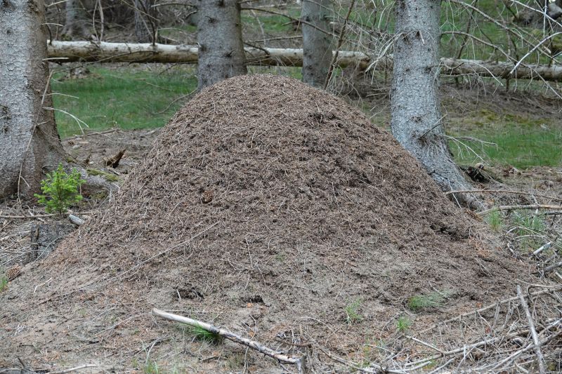 Viewing photos→2018→2018-05-26→15