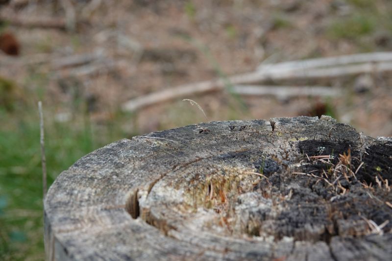 Viewing photos→2018→2018-05-26→17