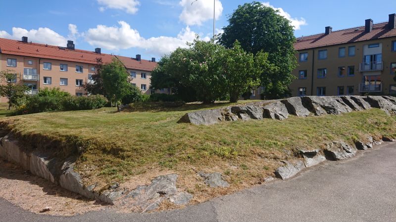 Viewing photos→2018→2018-06-15→01