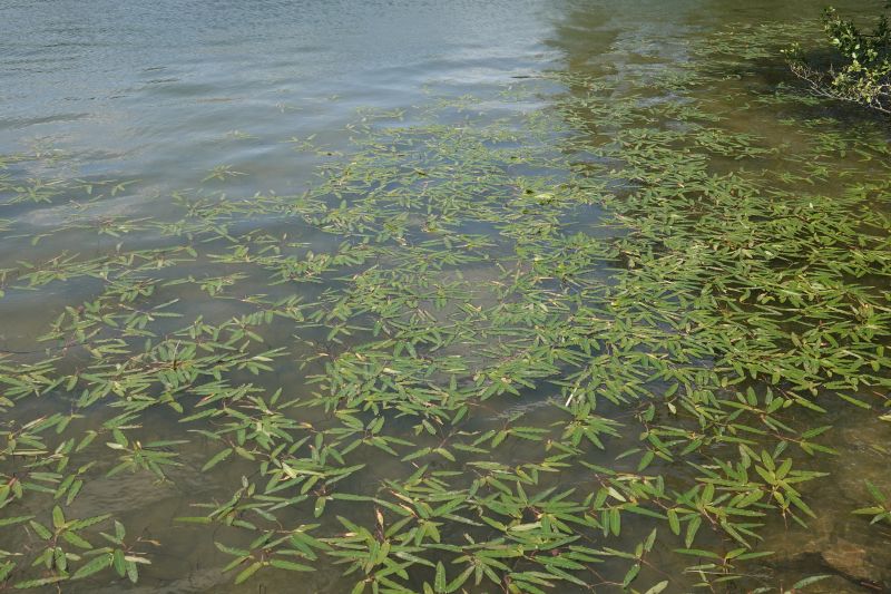 Viewing photos→2018→2018-06-15→10