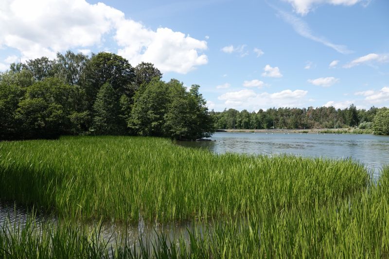 Viewing photos→2018→2018-06-15→14