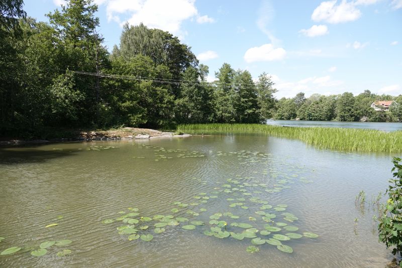 Viewing photos→2018→2018-06-15→18