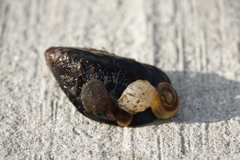 Viewing photos→2018→2018-07-07→15