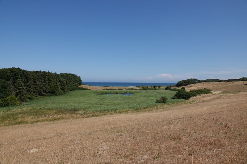 Viewing photos→2018→2018-07-13-1→06