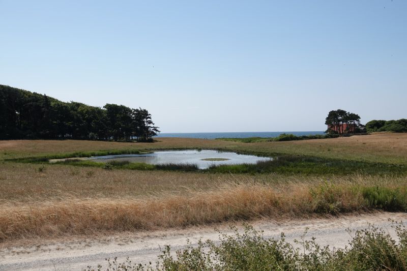 Viewing photos→2018→2018-07-13-1→08