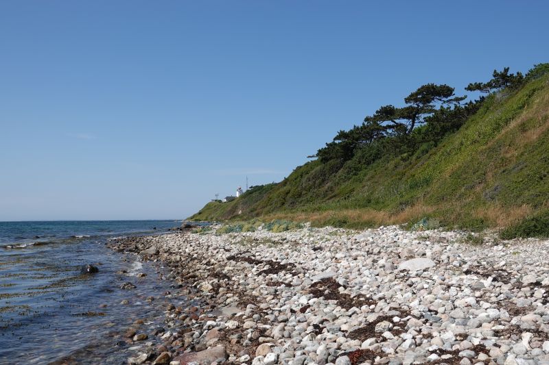 Viewing photos→2018→2018-07-13-1→11