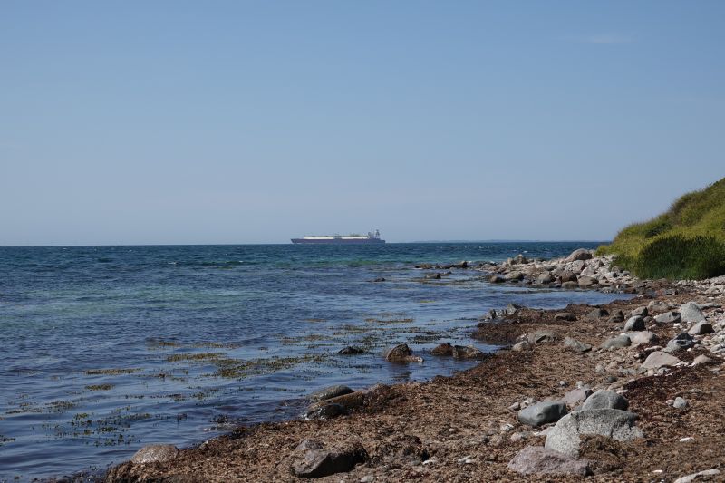 Viewing photos→2018→2018-07-13-1→15