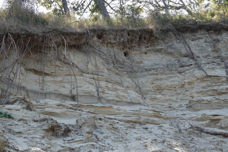 Viewing photos→2018→2018-07-13-1→19