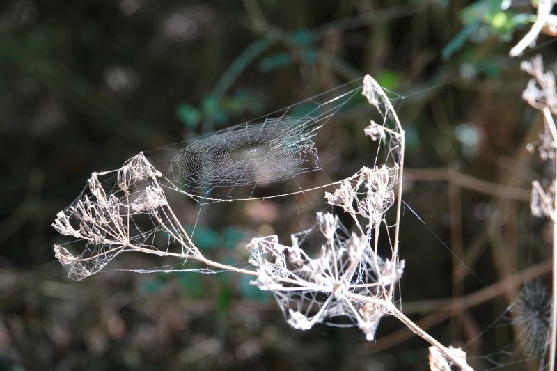 Viewing photos→2018→2018-07-13-1→36