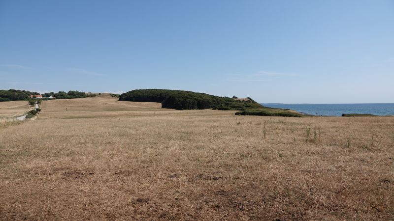 Viewing photos→2018→2018-07-13-1→39