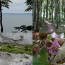 2018-07-14<br/>
<b>Møns Klint</b>
