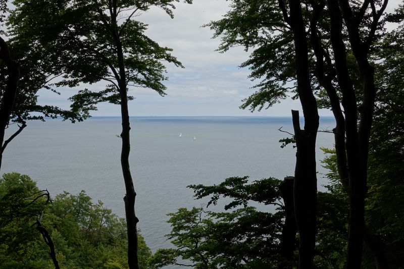 Viewing photos→2018→2018-07-14→01