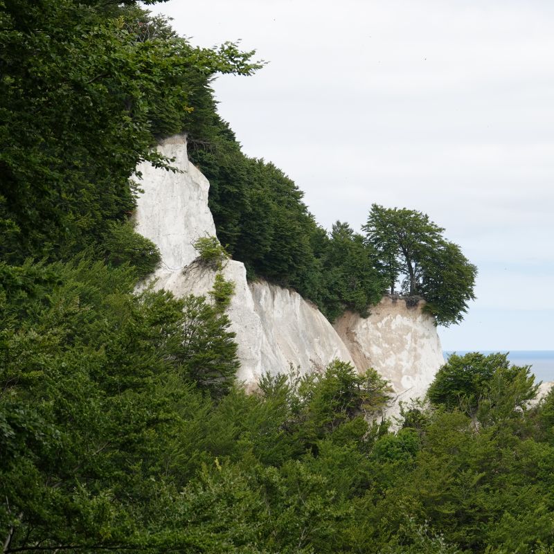 Viewing photos→2018→2018-07-14→02