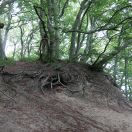 03.jpg - 2018:07:14 10:16:31