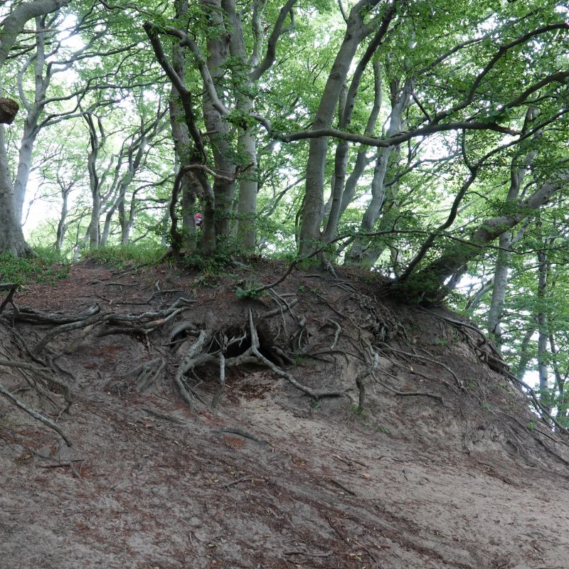 Viewing photos→2018→2018-07-14→03