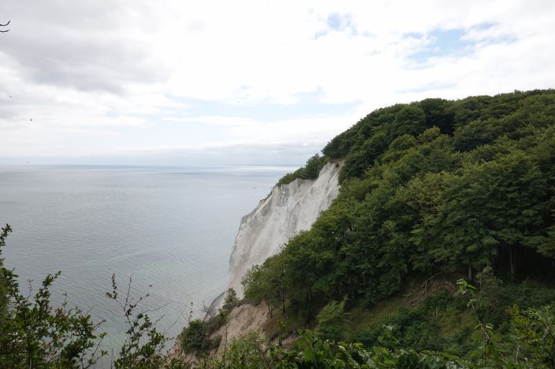 Viewing photos→2018→2018-07-14→04