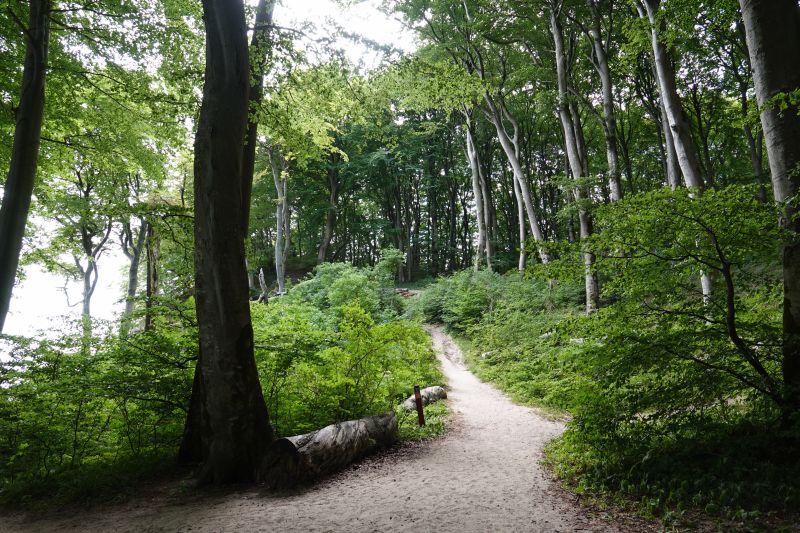 Viewing photos→2018→2018-07-14→08